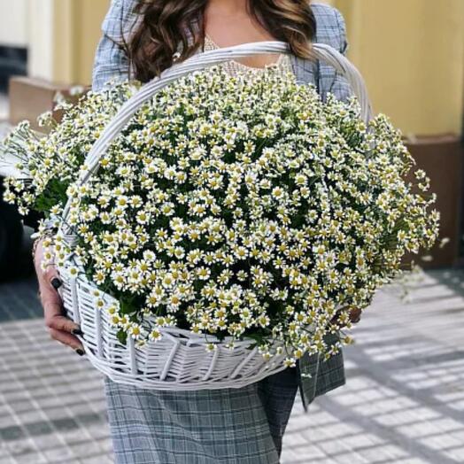 Корзина с цветами