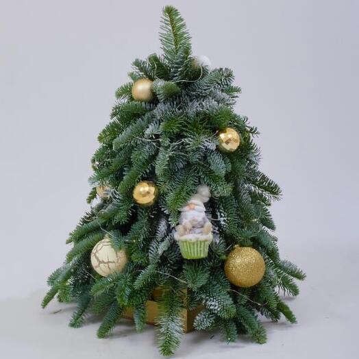 Елка натуральная новогодняя ароматная с гирляндой из датской ели. Букет F223 Цветы Столицы