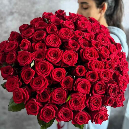 Шикарные алые розы 81 шт