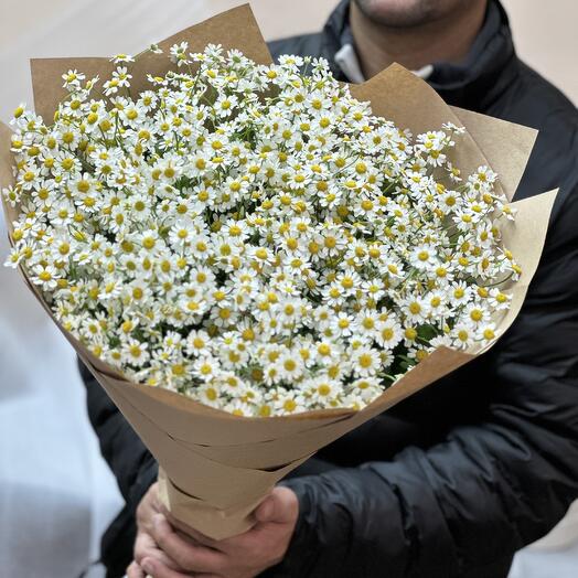 Букет из 25 ромашек 🌼