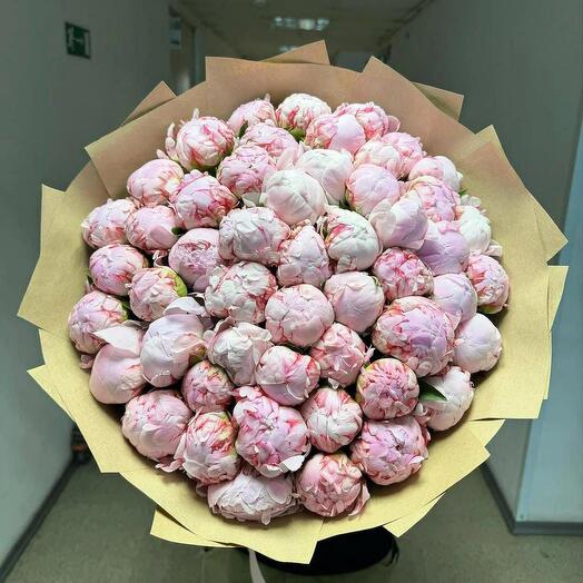 51 пион Пионы