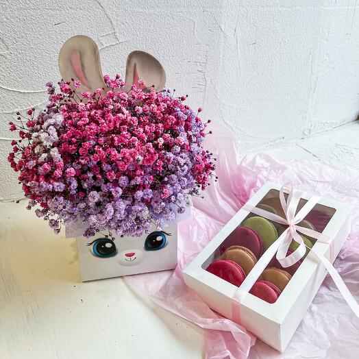 Gypsophila "My Bunny" + Macaroon cake set