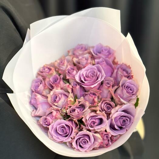 Lilac rose 25