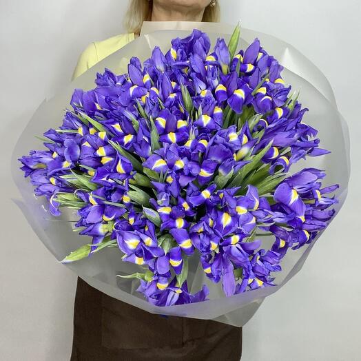 101 ирис