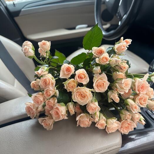 19 bush roses Lidya