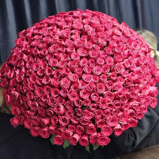 301 🌹 роза