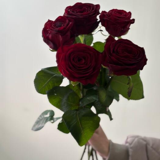 5 роз 🌹