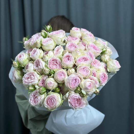 Peony-shaped bush roses
