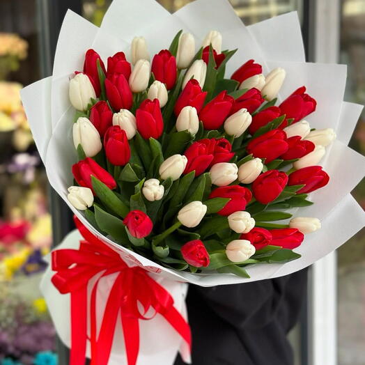 Red and white  tulip