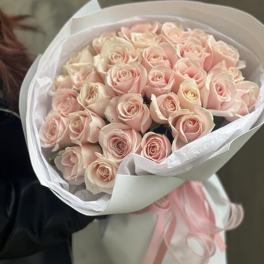 Rosas 31