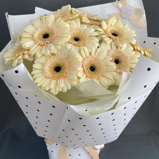 Gerberas 4