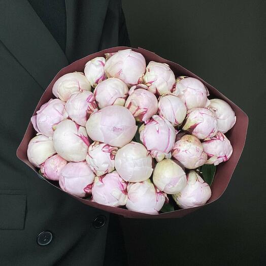 Пионы 25 шт