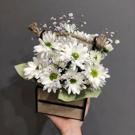Белая хризантема в ящике с гипсофилой