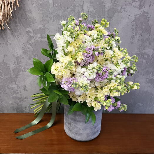 Mix Matthiola