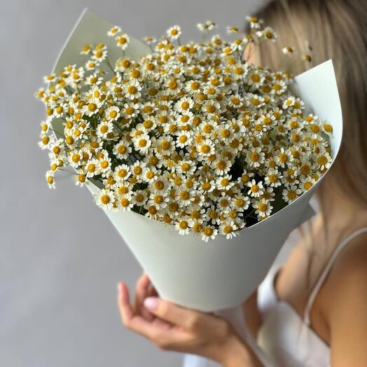 Букет из Ромашек 5️