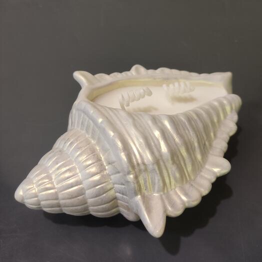 Свеча Большая ракушка