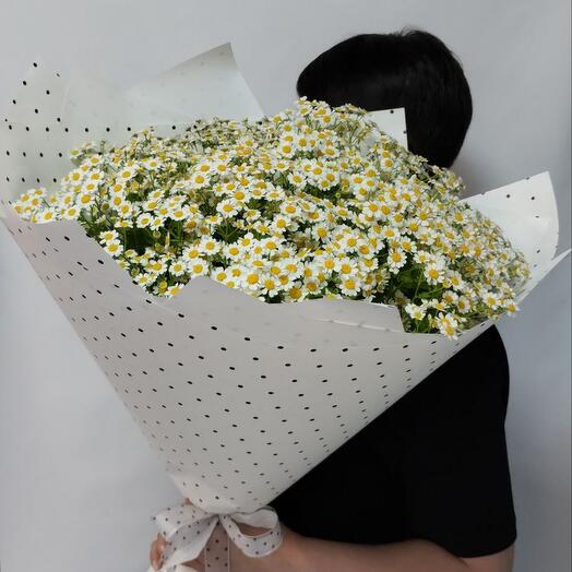Букет из матрикарии XL