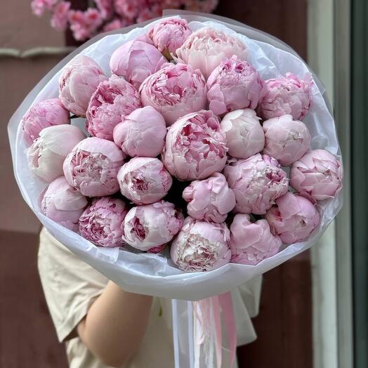 25 розовых пионов