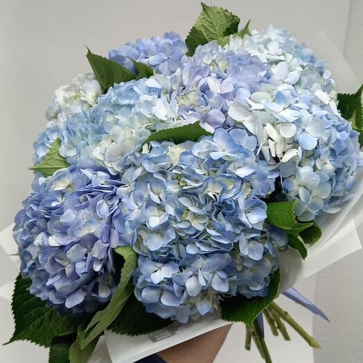 Гортензия большой букет 💙