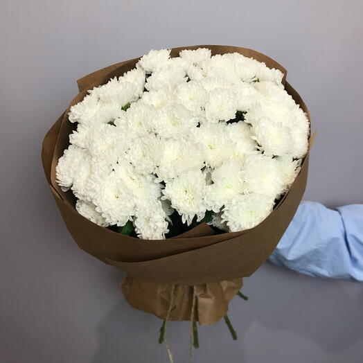 Кустовая хризантема