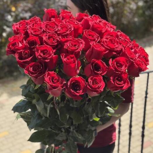 Роза Эквадор Эксплорер