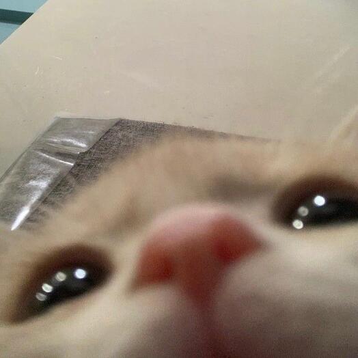 ㅓㅍㅎ ㅓ