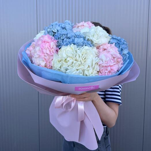 Микс из 9 гортензий
