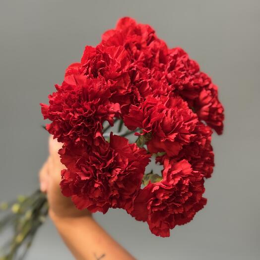 Букет из гвоздики Красной 10 штук