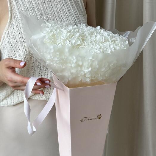 Гортензия стабилизированная в коробке