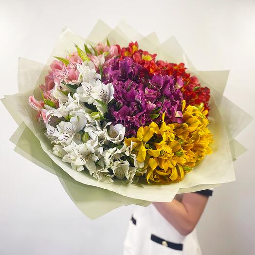 Alstroemeria mix