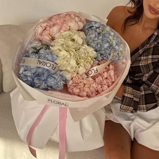 Моно-букет гортензии 5 шт