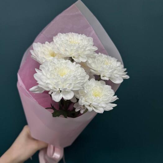 Элегантность хризантем