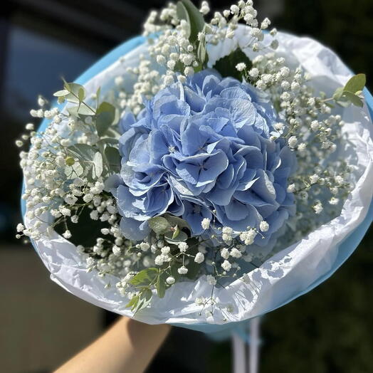 Hydrangea with gypsophila