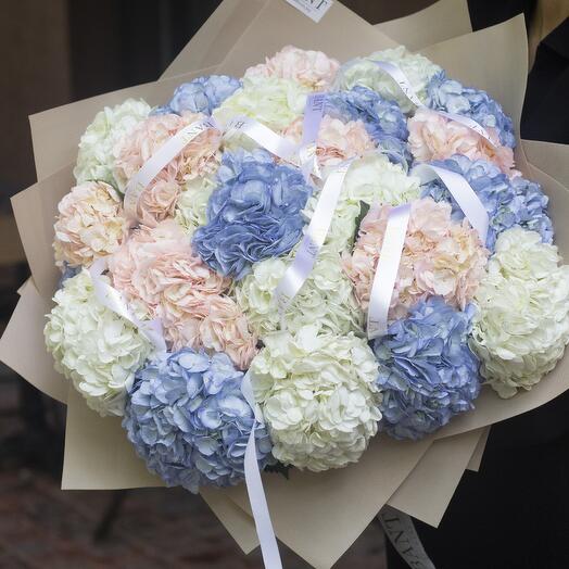 25 гортензий