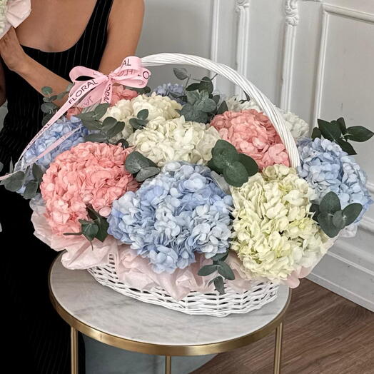 Корзина CLOUD L