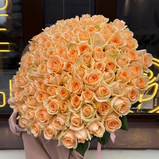 101 Роза Пич Аваланж 60 см