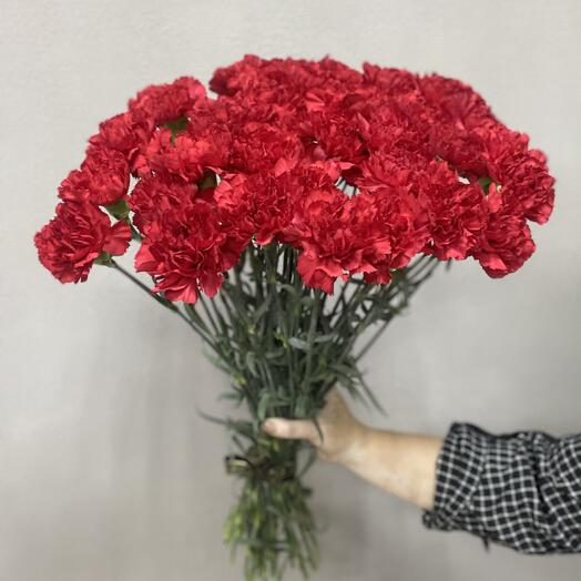 Гвоздики 30шт