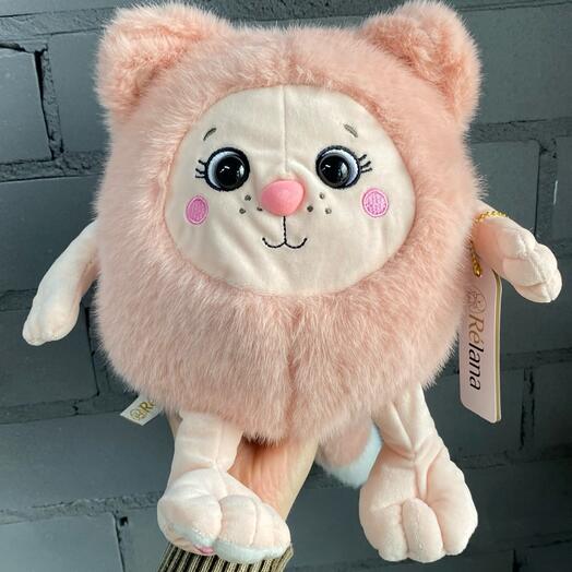 Котик Муник Олли