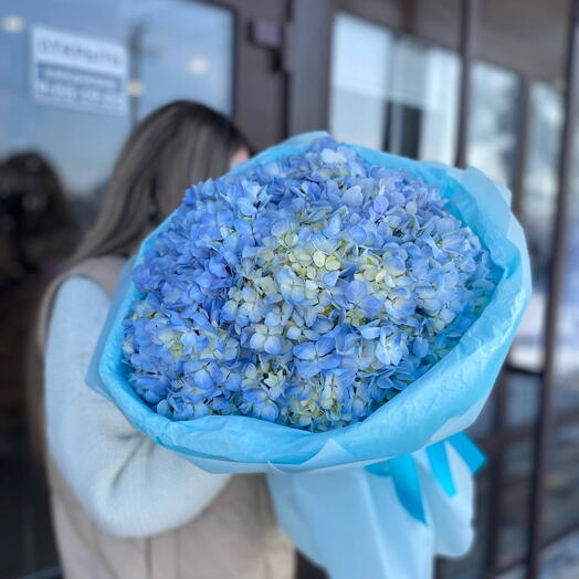 Букет голубых гортензий