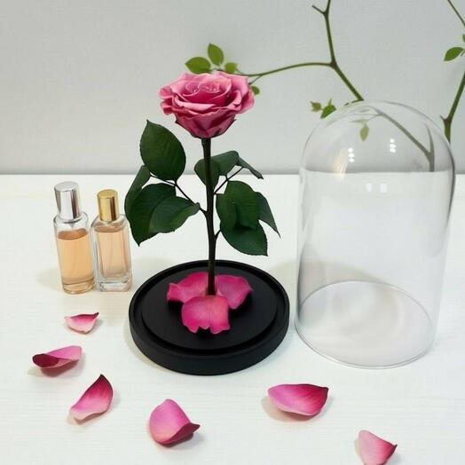 Живая роза в колбе