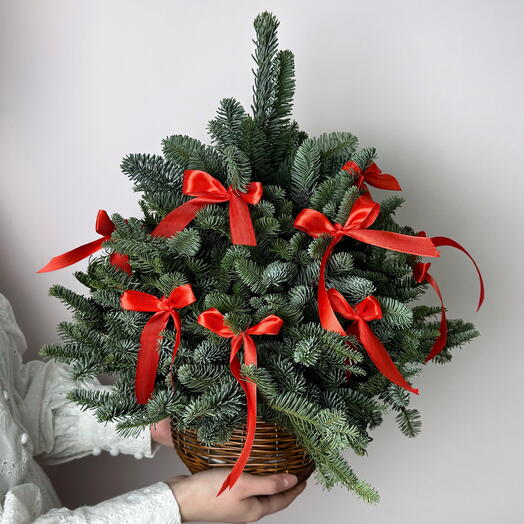 Новогодняя Елка из Нобилиса в Корзине (16)