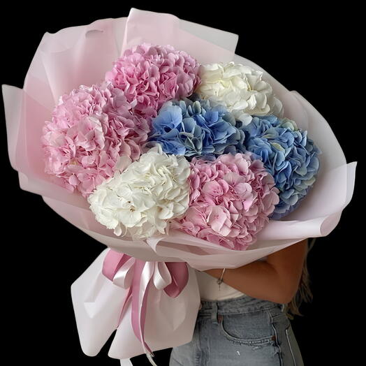 Mix haydragea bloomy