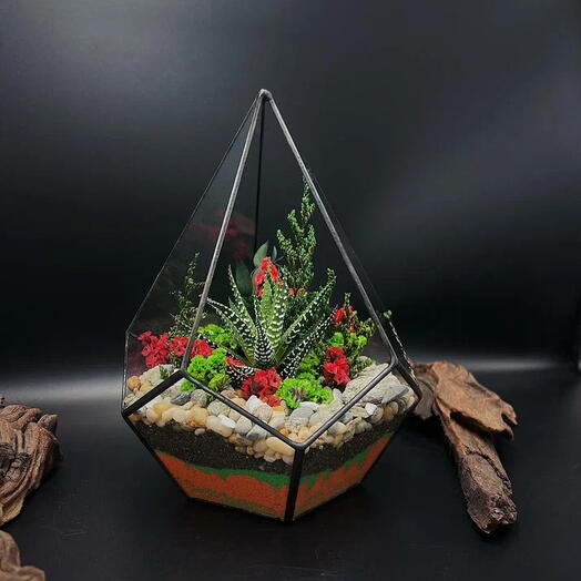 🎀Мастер-класс по созданию флорариума «S» с суккулентом 1 участник 1 час 💝