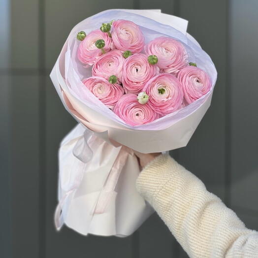 Ranunculus hanoi 9 piezas