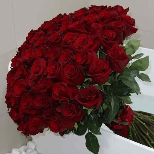 101 Dutch Roses - 101 ჰოლანდიური ვარდი