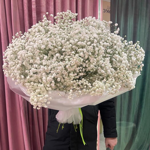 Моно гипсофила