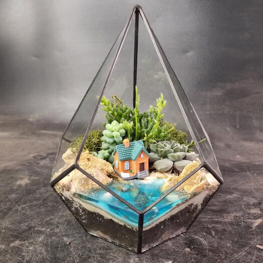 Флорариум с суккулентами в капле S