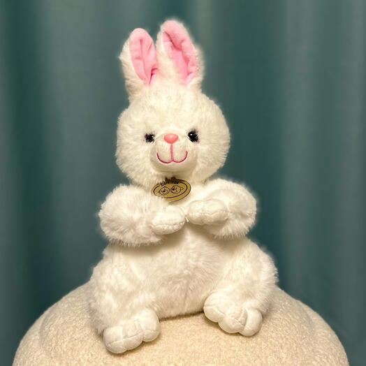 Мягкая игрушка зайка/Плюшевый заяц/Подарок девушке,любимой