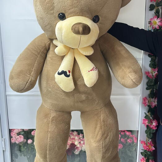 Teddy bear 160 cm