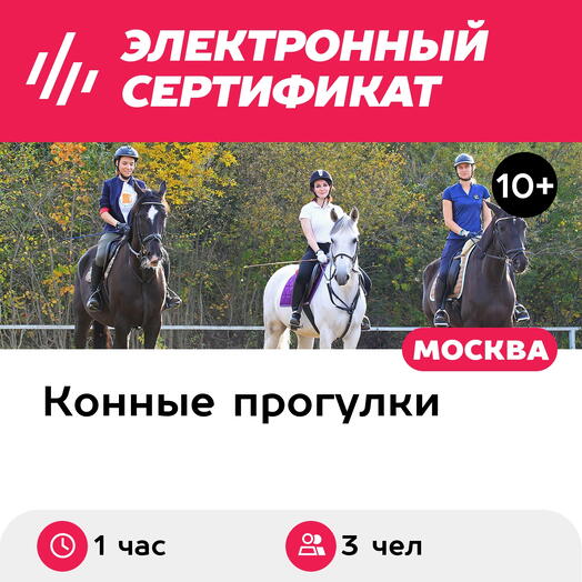 Подарочный сертификат Индивидуальная конная прогулка с инструктором, 3 чел. (1 час)